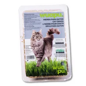 wuapu-katzengras