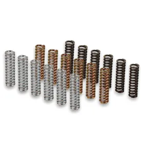 malossi-2913327-clutch-spring-kit