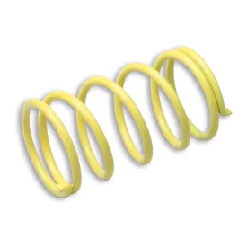 malossi-45x77-clutch-pulley-spring