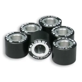 malossi-6611534.n0-variatorrollen-6-eenheden