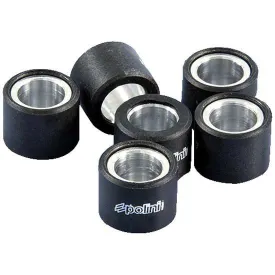 polini-242078-variator-rollers-6-units