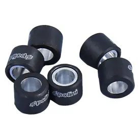 polini-242121-variator-rollers-6-units