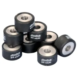 polini-242222-variator-rollers-8-units
