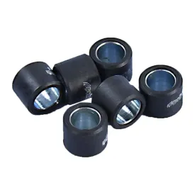 polini-242353-variator-rollers-6-units