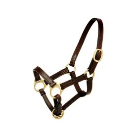 hispano-hipica-cabezada-de-cuadra-short-leather