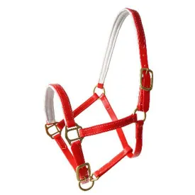 lexhis-biothane-halfter