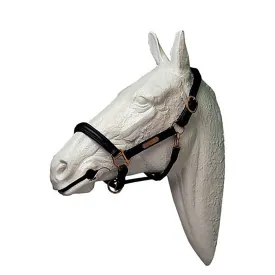 lexhis-cabrestro-leather