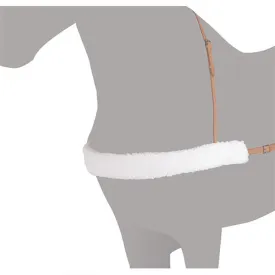 mehis-breastplate-protector