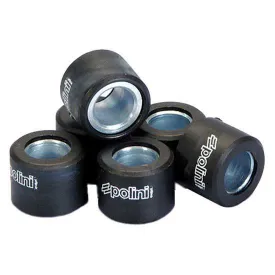 polini-17x12-6.9g-variator-rollers