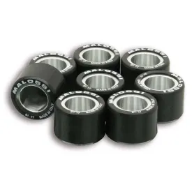 malossi-6613655.h0-variator-rollers