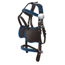 lexhis-cabecada-hanover-harness