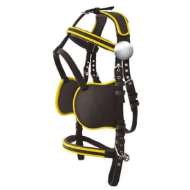 lexhis-hanover-harness-trans