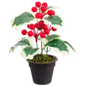 fantastiko-holly-pot-with-leaves-17-cm