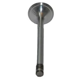 bukh-dv24-48-indlobsventil