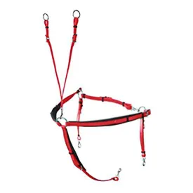 lexhis-biothane-raid-vorderzeug