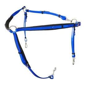 lexhis-biothane-raid-fortoj