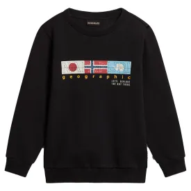 napapijri-moletom-b-brunt