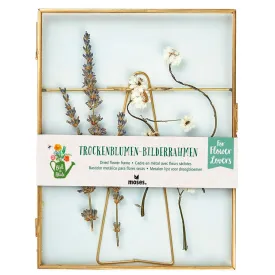 moses-marco-fleurs-sechees