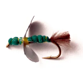baetis-mouche-drowned-cholin