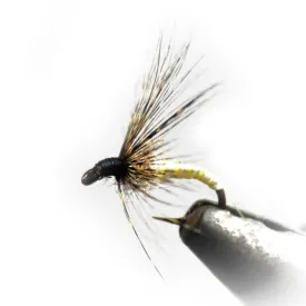 baetis-mouche-drowned-ring