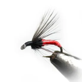 baetis-drowned-ring-飞