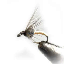 baetis-mouche-drowned-ring