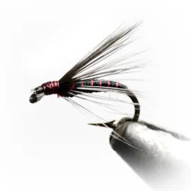 baetis-drowned-ring-fly