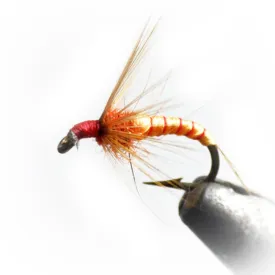 baetis-mosca-drowned-ring