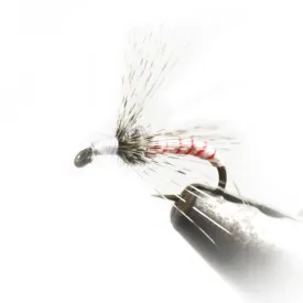 baetis-drowned-ring-flyga