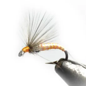 baetis-mosca-drowned-ring