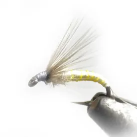 baetis-drowned-ring-fly