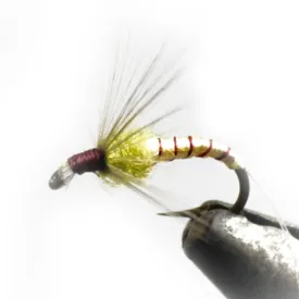 baetis-drowned-ring-飞