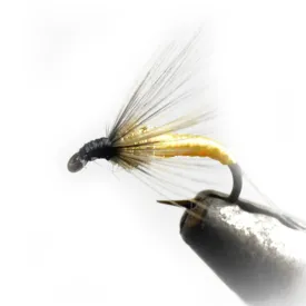 baetis-drowned-ring-flyga