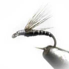 baetis-mosca-drowned-ring