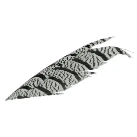 baetis-piuma-pheasant-feather