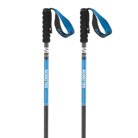 salomon-pulsar-carbon-poles