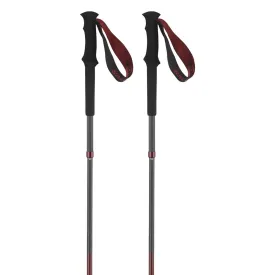 salomon-bastons-quest-carbon-foldable