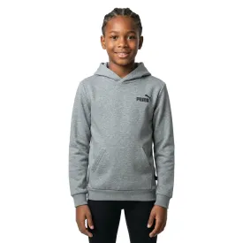puma-sweat-a-capuche-ess-small-logo