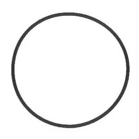 chris-king-freehub-body-o-ring-for-r45-r45d-hubs