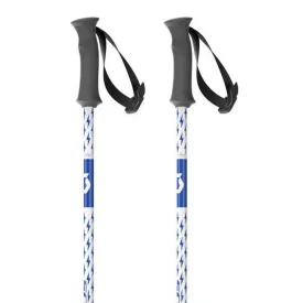 scott-element-junior-poles