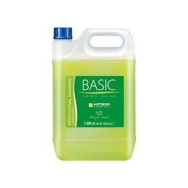 artero-shampoo-basic-5l