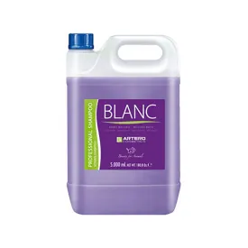 artero-wei-es-shampoo-5l