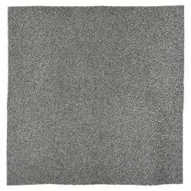 coleman-67983751-filter