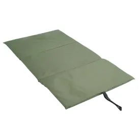 dam-iconic-carp-small-afkrogningsmatte