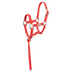 premiere-cabecada-foal-briskwith-mini-lead
