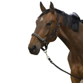 equitheme-chevron-nylon-halfter