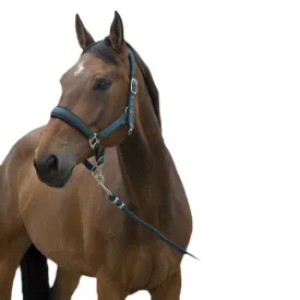 norton-equestrian-licol-et-longe-large