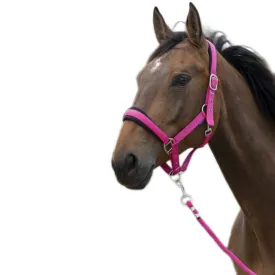norton-equestrian-cabecada-e-guia-large