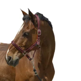 norton-equestrian-satine-grime