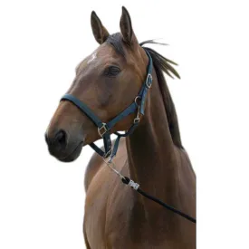 norton-equestrian-satine-grimmor